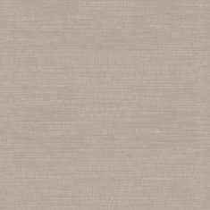 brown paper texture background N2