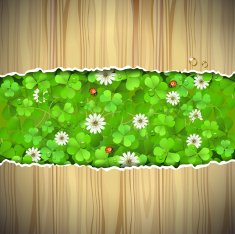 Wood background with clover N2