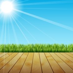 Cartoon Green Grass And Sun Beam N2
