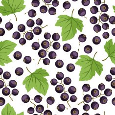 Seamless nature pattern with black currants