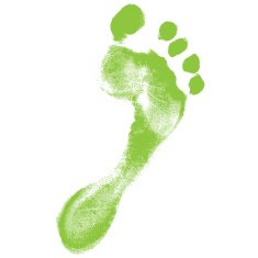 footprint - isolated on white background