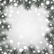 Silver christmas background with spruce branches
