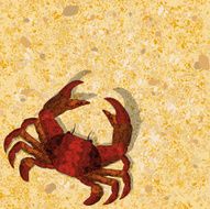 red crab on sand