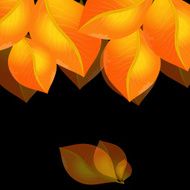 golden leaves N3