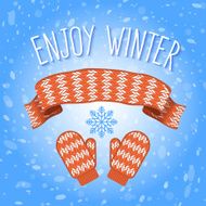 Knitted Scarf and Mittens N2