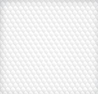 White Background N135