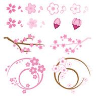 Material of cherry tree