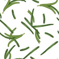 Rosemary seamless pattern N2