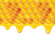 Honeycombs with honey vector background