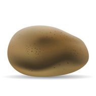 Brown potato