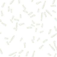 Coconut Seamless Pattern