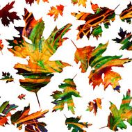 Seamless texture with colored watercolor maple leaves N25