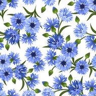 Seamless pattern with blue cornflowers Vector illustration N3