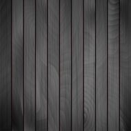 Vector wood plank N11
