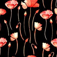Watercolor seamless with poppies