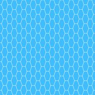 White net pattern