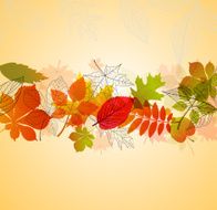 Autumn N123