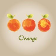 Watercolor orange N2