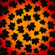 autumn background with maples leaves N2