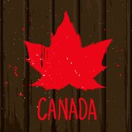 Red maple leaf on brown background