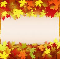 Autumn background with leaves wood boards and cardboard banner N2