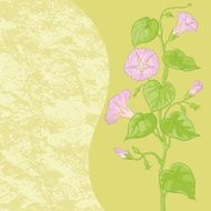 Flowers Ipomoea and abstract pattern