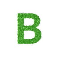 Grass letter B
