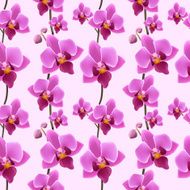Orchid blossom seamless pattern N2