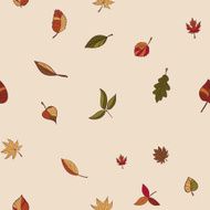 Pattern of autumn leaves forest trees N2