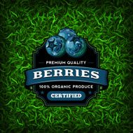 F&amp;B Labels - Blueberries