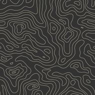 Topographic Map Seamless Pattern Vector Background N2