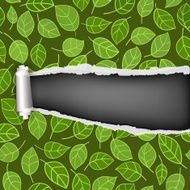 Torn Paper Background N6
