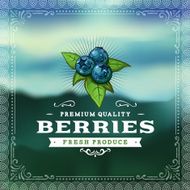 F&amp;B Labels - Blueberries N2