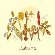 Floral background N1581