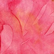Coral colored hand painted background