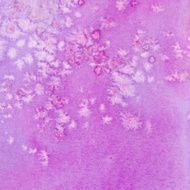 Bright purple pink hand painted background with texture