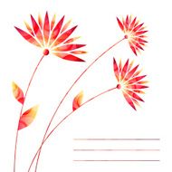 Flowers N448