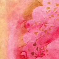 Hand painted textured background of pink and orange