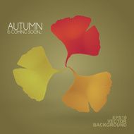 Autumn is Coming - Background with Leaves