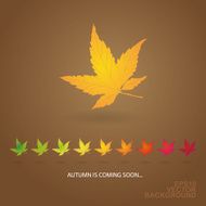 Autumn is Coming Soon - Background with Row of Leaves
