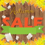 Autumn colorful sale wooden background N2