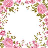 Luxurious color peony background N4