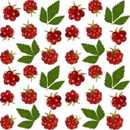 arctic bramble