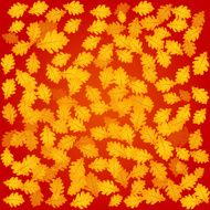 autumn oak background