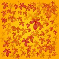 autumn horse chestnut background