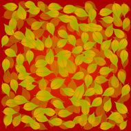 autumn beech background