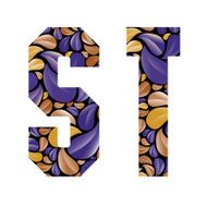 Beautiful floral alphabet letters S and T