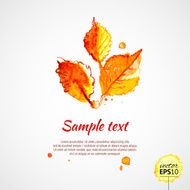 Autumn watercolor three leaves background