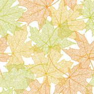 Autumn seamless pattern N106