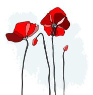 Red poppies on a sky background